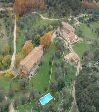 Las mejores ofertas de Honor Vell Orient