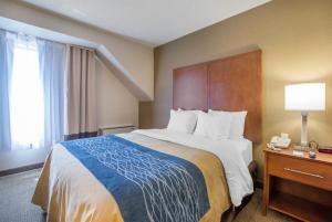 Las mejores ofertas de Comfort Inn Bathurst 