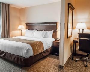 Las mejores ofertas de Comfort Suites Speedway - Kansas City Kansas City