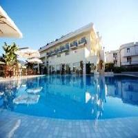 Las mejores ofertas de Ashley COSENZA