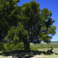 Las mejores ofertas de Casa Miguela Alcalá De La Selva