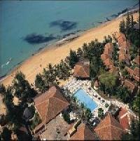 Las mejores ofertas de Filaos Calaos Saly