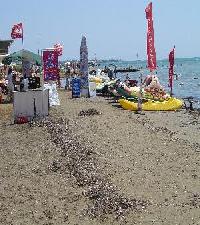 Las mejores ofertas de La Vitas Antalya