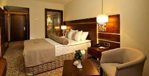 Las mejores ofertas de Anemon Bursa Bursa