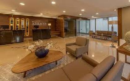 Las mejores ofertas de Anemon Ankara Ankara