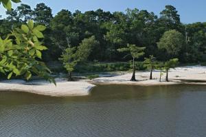 Las mejores ofertas de HOLIDAY INN HOTEL & SUITES BEAUMONT PLAZA (I 10 & WALDEN) Beaumont 