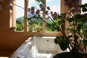 Lost Iguana Resort & Spa