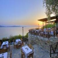 Las mejores ofertas de Leda Pelion Pilion