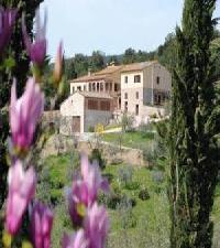 Las mejores ofertas de Fattoria Voltrona San Gimignano