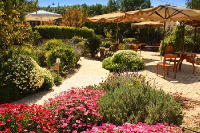 Las mejores ofertas de Rastoni Aegina 