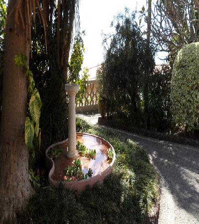 Las mejores ofertas de Quinta Da Fonte Funchal
