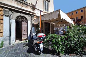 Las mejores ofertas de Calisto6 Roma