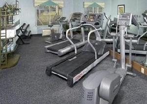 Comfort Suites University Park Sarasota