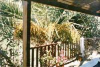 Las mejores ofertas de La Sera Agulo 