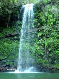 Las mejores ofertas de Posada de Linares Selaya