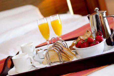 Las mejores ofertas de Athlone Spring Hotel Athlone