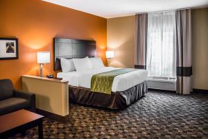 Las mejores ofertas de COMFORT SUITES BLUFFTON Bluffton