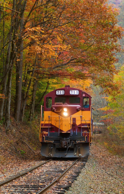 Las mejores ofertas de PLUS RIVER ESCAPE INN SUITES Dillsboro