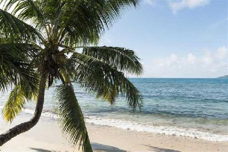 Las mejores ofertas de Le Meridien Fisherman´s Cove Victoria