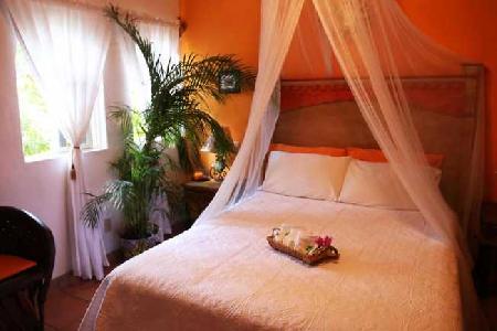 Las mejores ofertas de THE MEXICAN INN Cabo San Lucas 