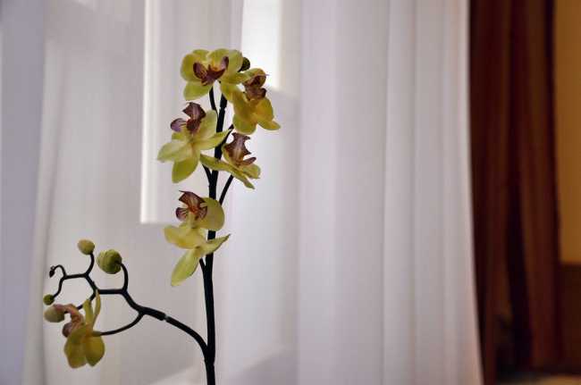 Las mejores ofertas de CITY PENSION STEPHANSPLATZ Viena