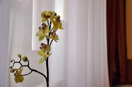 Las mejores ofertas de CITY PENSION STEPHANSPLATZ Viena