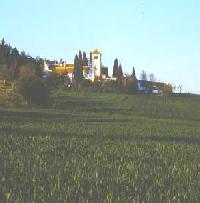 Las mejores ofertas de Triguero Carmona