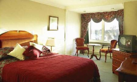 Las mejores ofertas de BRANDON Tralee