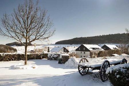 Las mejores ofertas de H PLUS HOTEL WILLINGEN Willingen