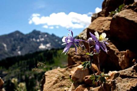 Las mejores ofertas de PLUS EAGLE LODGE SUITES Eagle