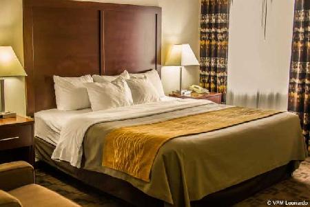 Las mejores ofertas de COMFORT INN Birch Run