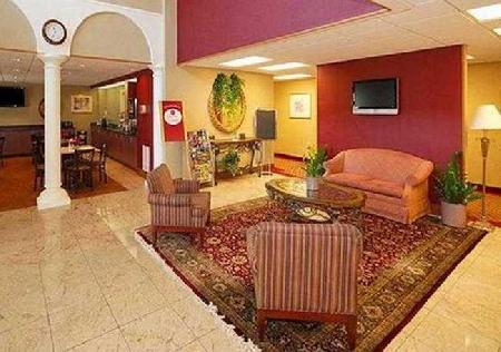 Las mejores ofertas de Comfort Suites (Raleigh) Raleigh 