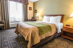 Las mejores ofertas de COMFORT INN Weirton