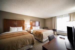 Las mejores ofertas de Comfort Inn & Suites 