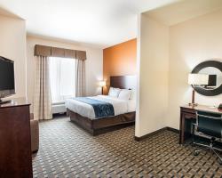 Las mejores ofertas de Comfort Suites Waxahachie - Dallas Waxahachie 