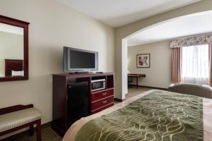 Las mejores ofertas de COMFORT INN Broussard
