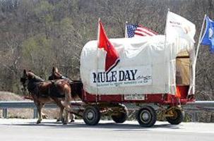 Las mejores ofertas de SPRING HILL INN SUITES Goodlettsville