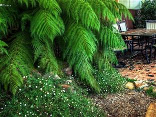 Las mejores ofertas de KOOKABURRA MOTOR LODGE Halls Gap