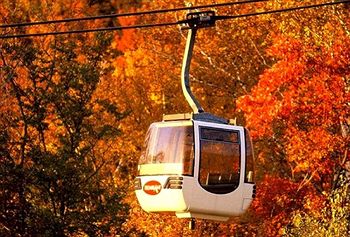 Las mejores ofertas de LES FALAISES SKI-IN SKI-OUT CONDO Mont Tremblant