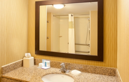 HAMPTON INN SUITES MSP AIRPORT/ MALL AMERICA