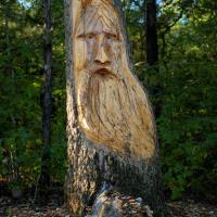 Las mejores ofertas de CABINS AT GRAND MOUNTAIN BY THOUSAND HILLS RESORT Branson