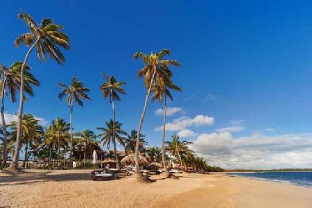 Las mejores ofertas de ZOETRY AGUA PUNTA CANA ALL INCLUSIVE UVERO ALTO Beach