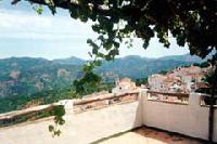 Las mejores ofertas de El Olivo Benalauría