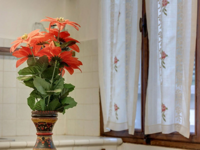 Las mejores ofertas de MORO Florencia