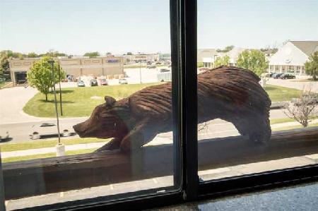 Las mejores ofertas de BEST WESTERN PLUS HOLLAND INN & SUITES Holland 