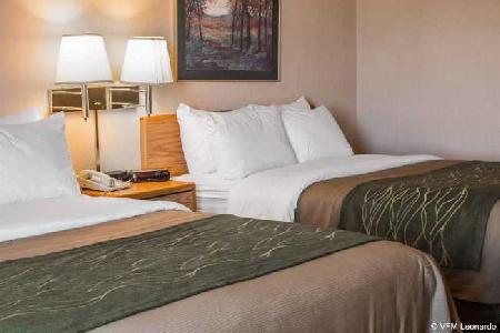 Las mejores ofertas de COMFORT INN Charlotte 