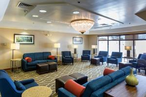 Las mejores ofertas de COMFORT INN Ottawa