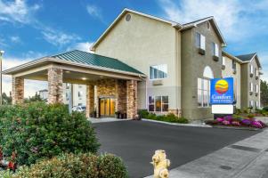 Las mejores ofertas de COMFORT INN SUITES REDWOOD COUNTRY Fortuna 