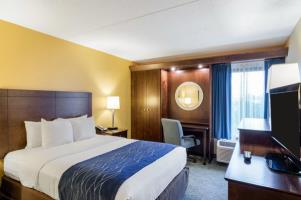 Las mejores ofertas de COMFORT INN & SUITES Delaware 