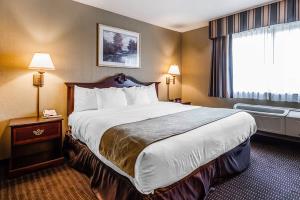 Las mejores ofertas de Comfort Suites at Par 4 Resort Waupaca 